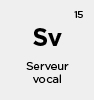 serveur vocal