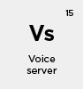 voice-operated server